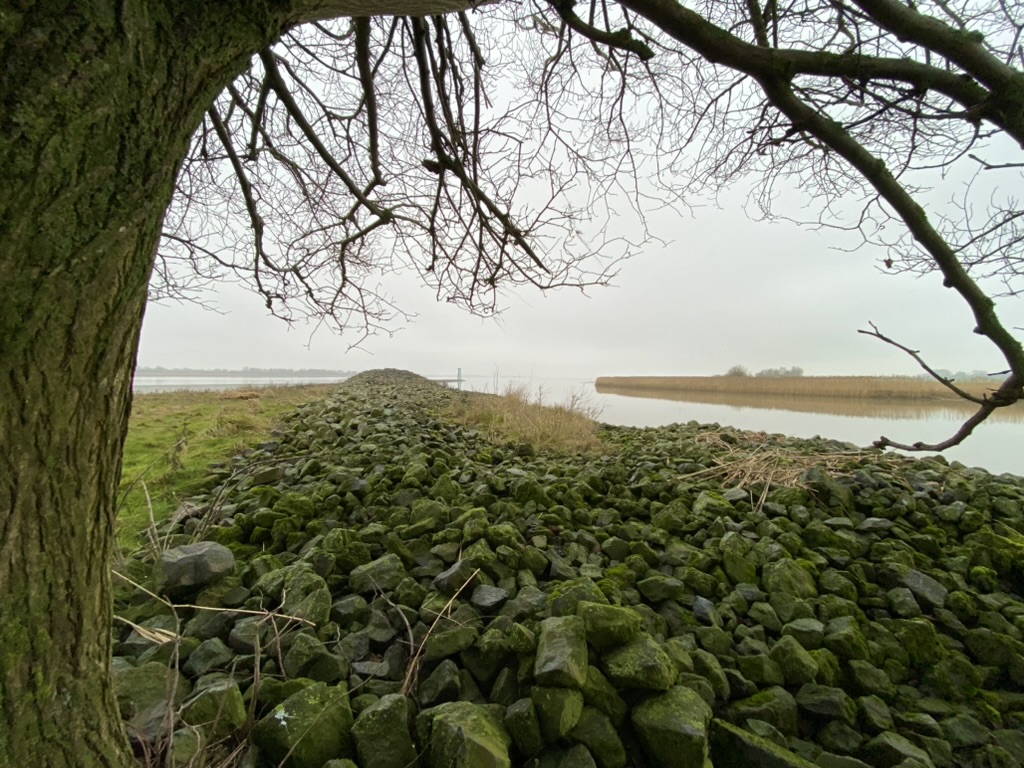 elbe krueckau